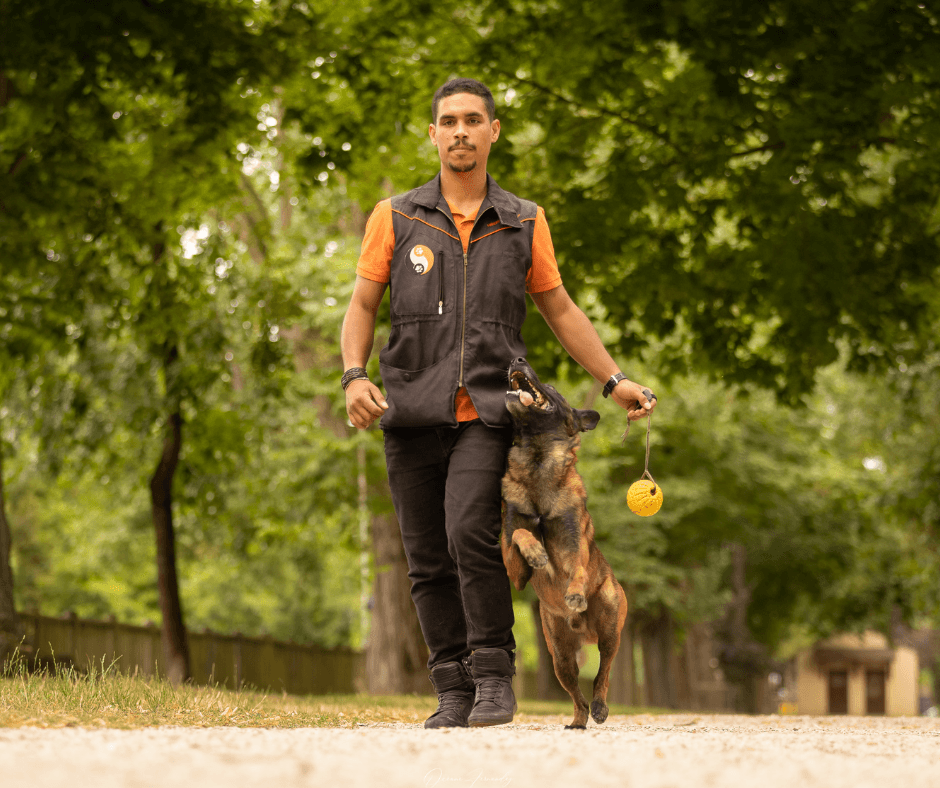 Romain debout avec malinois assis, gilet orange