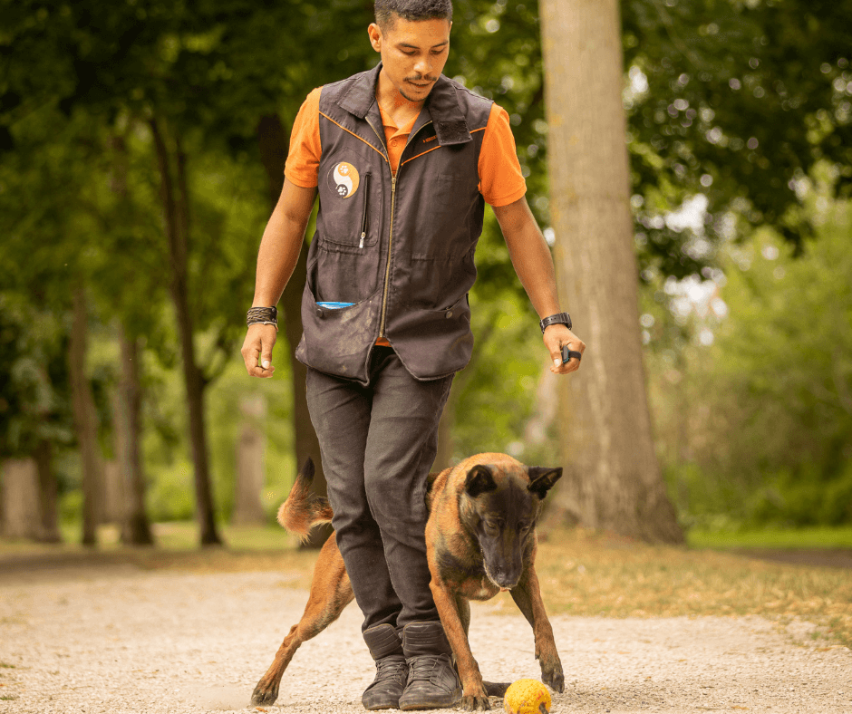 Romain joue avec son chien