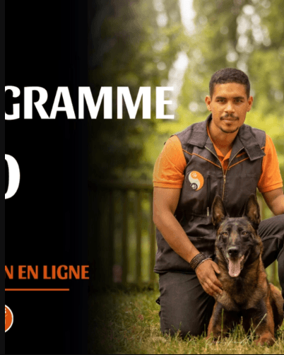 Programme K10 