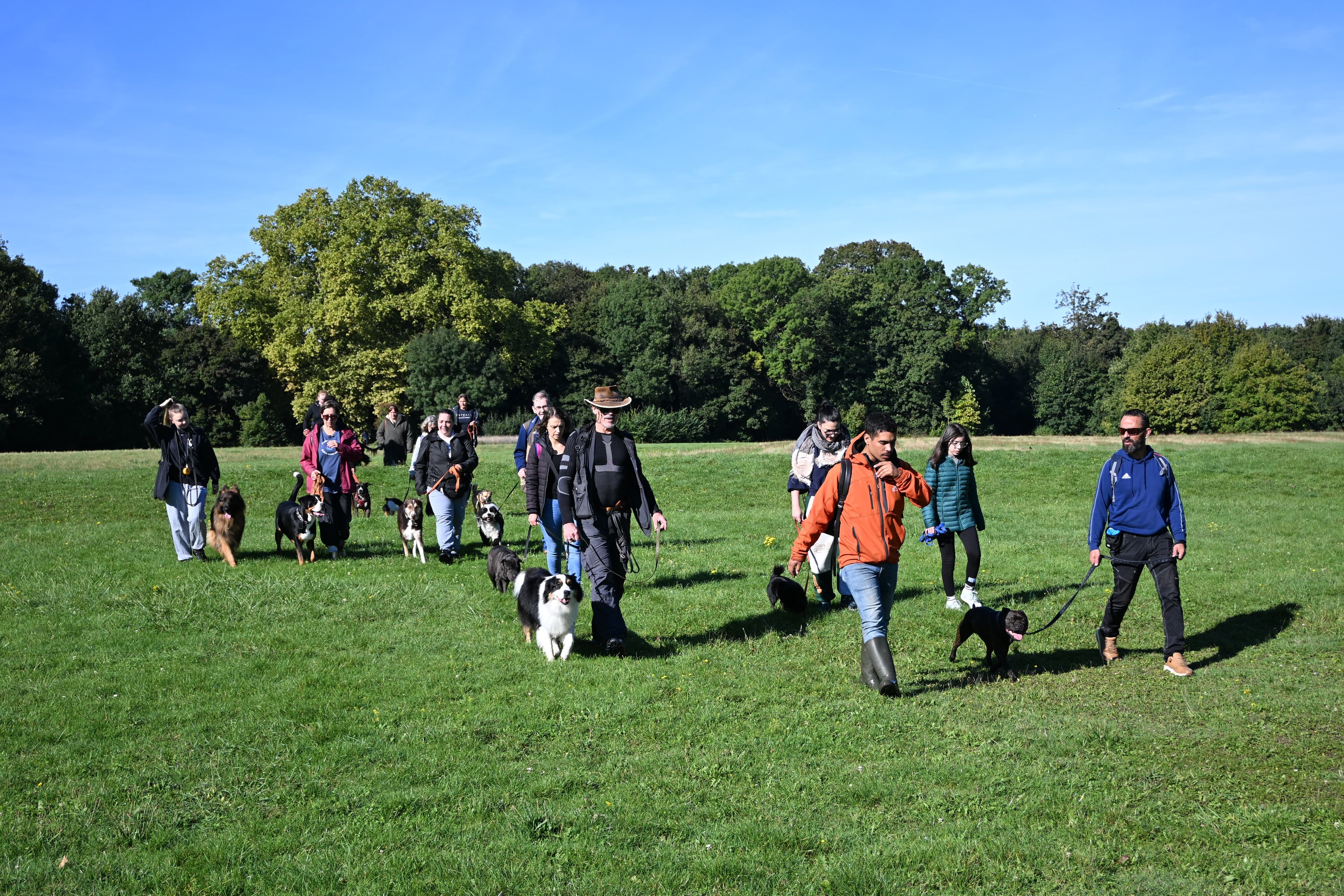 Romain joue tug avec deux chiens dans parc