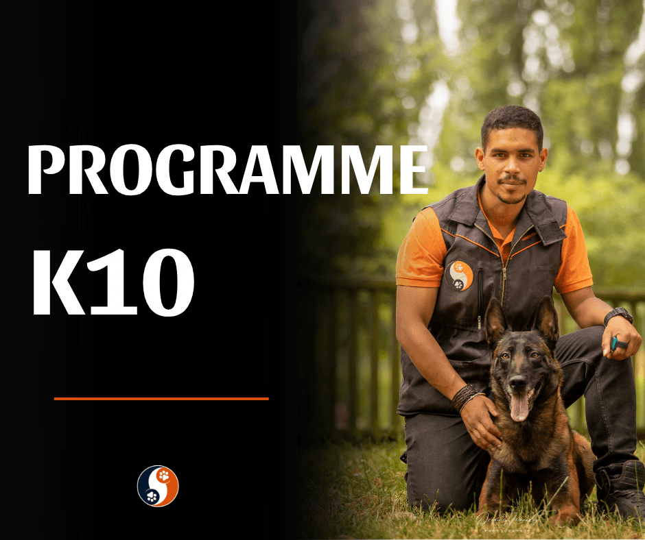 Programme K10