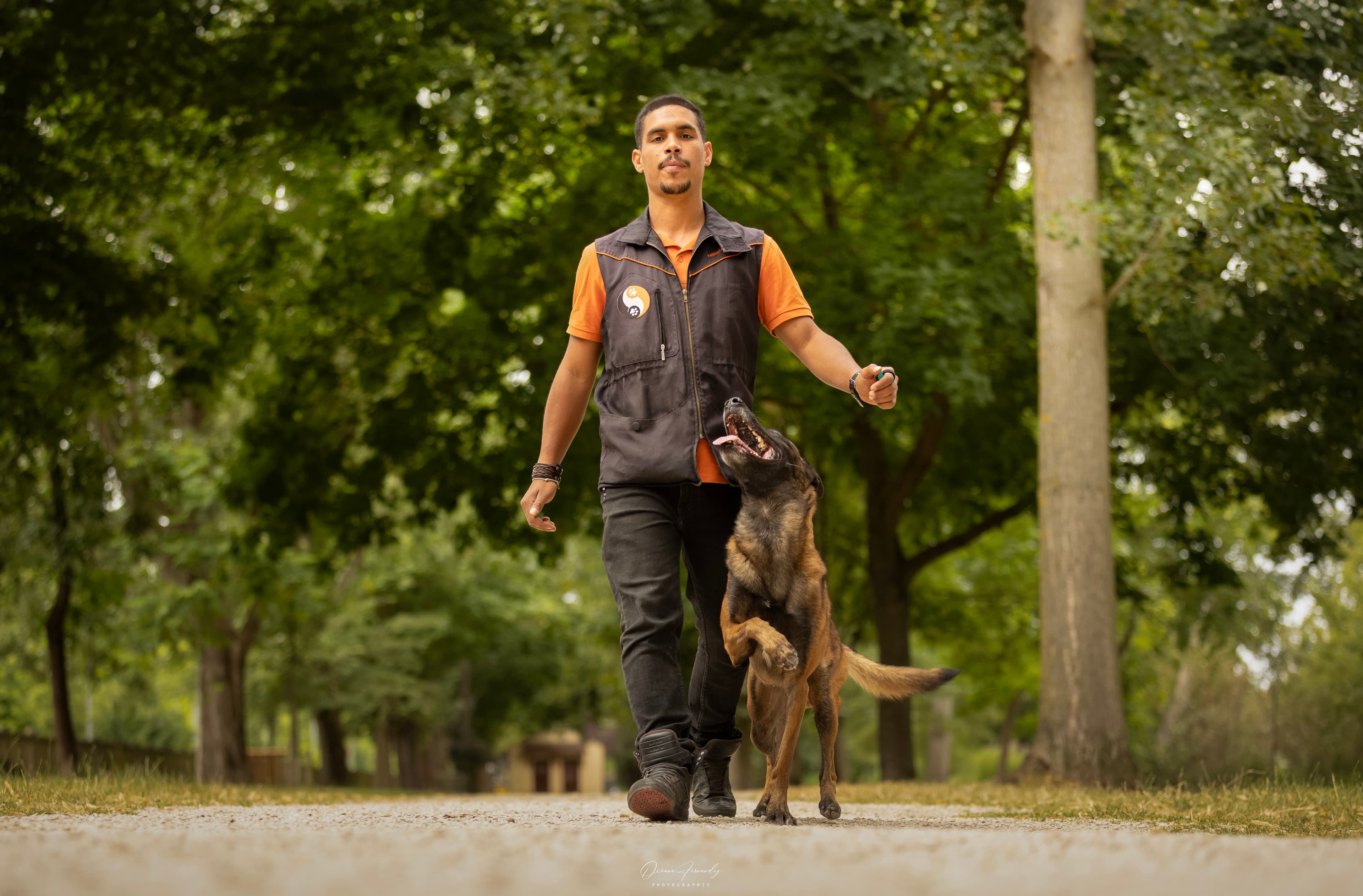 Romain marche au pied sentier, malinois jouet jaune