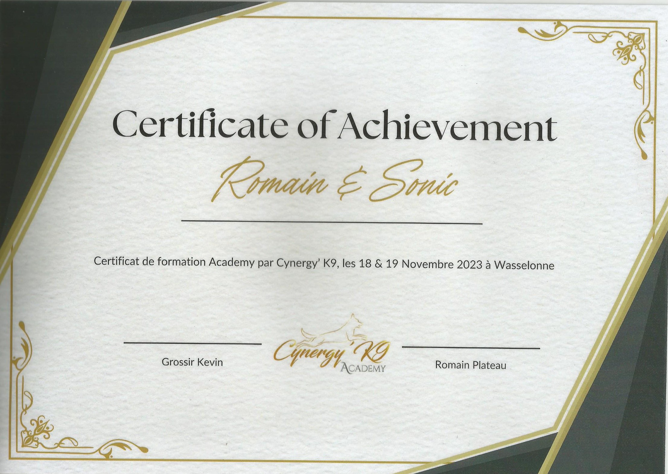 Certificat de Formation par Cynergy k9