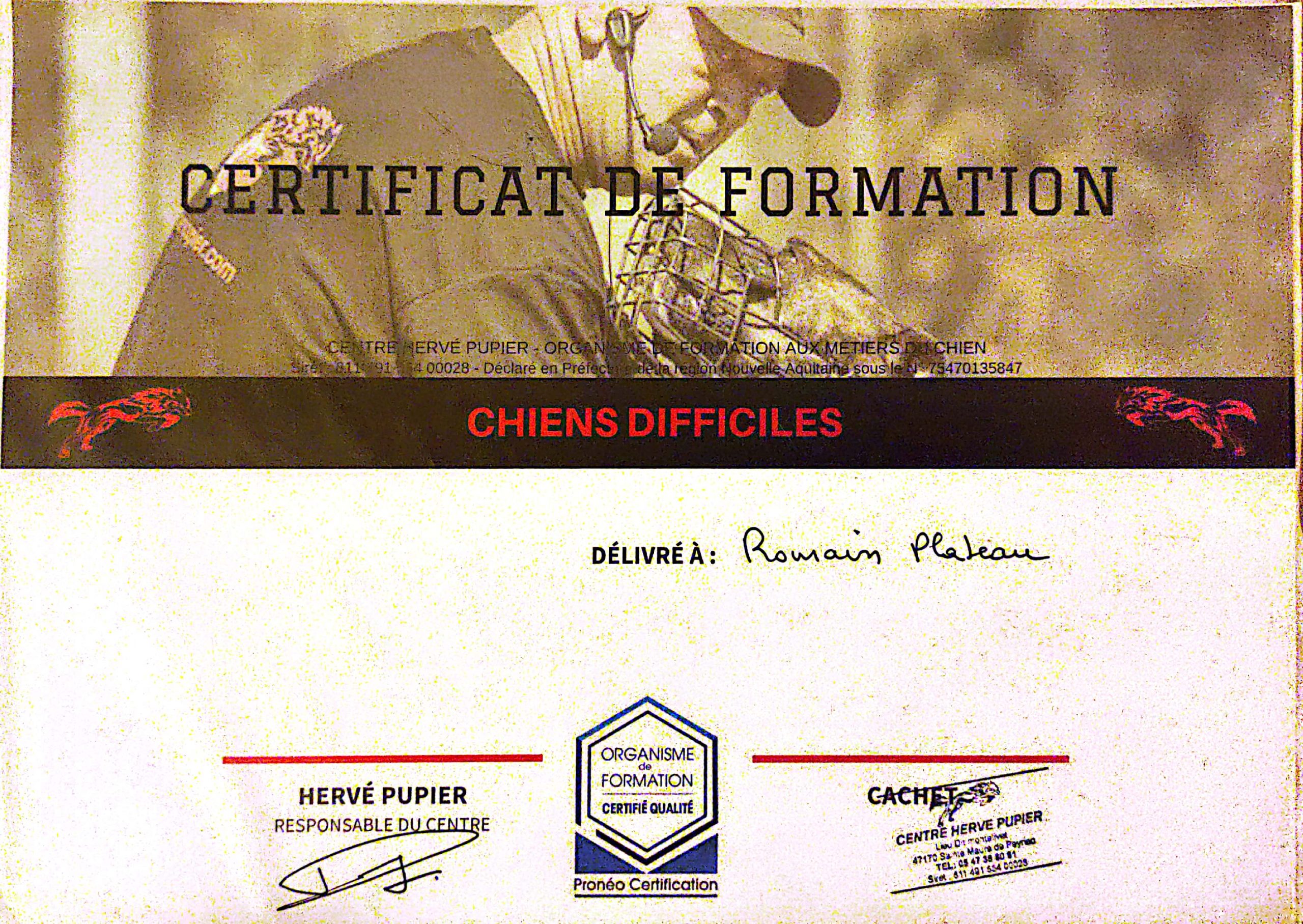 Certificat de formation chez Hervé Pupier