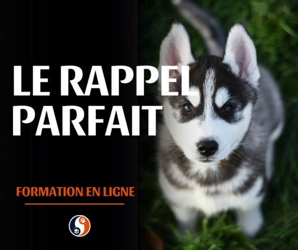 Le rappel parfait