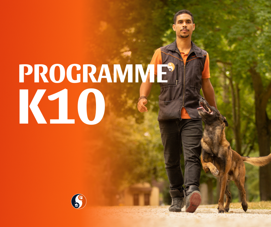 Programme K10